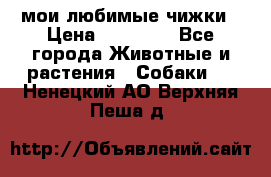 мои любимые чижки › Цена ­ 15 000 - Все города Животные и растения » Собаки   . Ненецкий АО,Верхняя Пеша д.